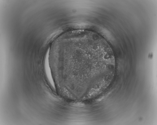 X0000093140258200710241348