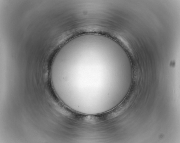 X0000093140261200710241348