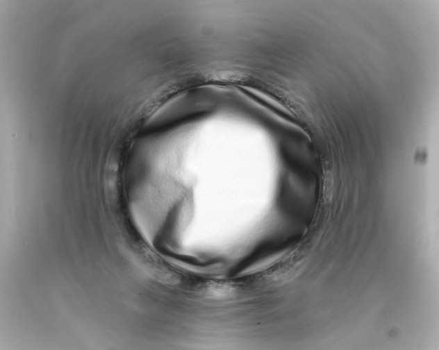 X0000093140263200710241348