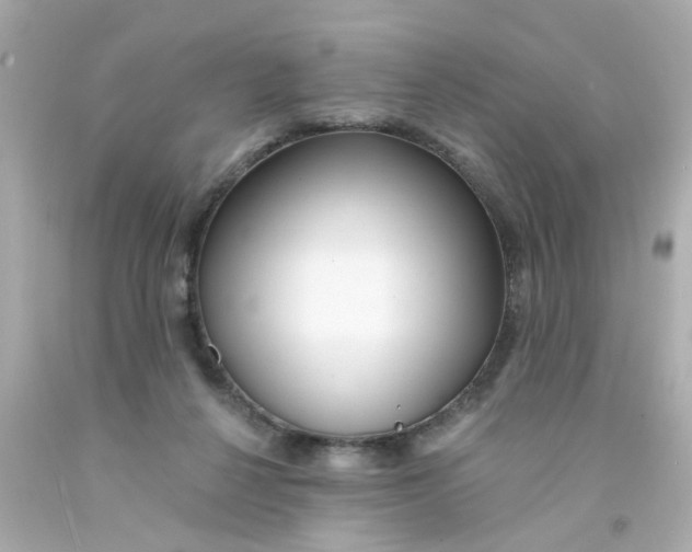 X0000093140264200710241348