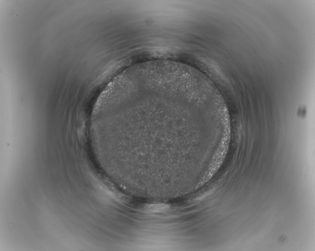 X0000093140266200710241348