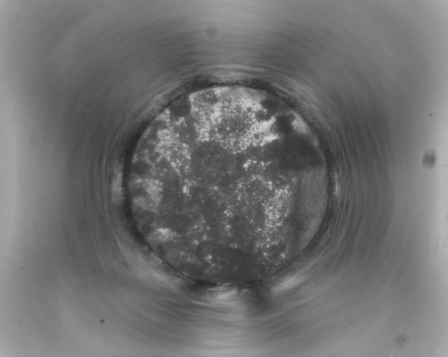 X0000093140267200710241348