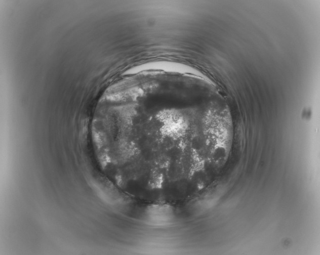 X0000093140271200710241348