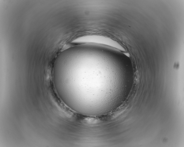 X0000093140272200710241348