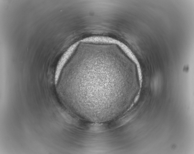 X0000093140273200710241348