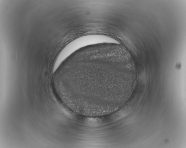 X0000093140277200710241348