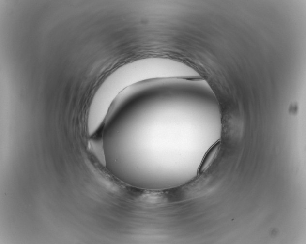 X0000093140280200710241348