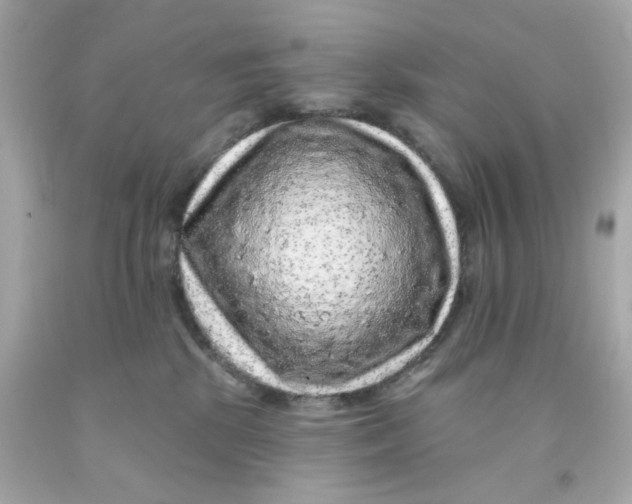 X0000093140281200710241348