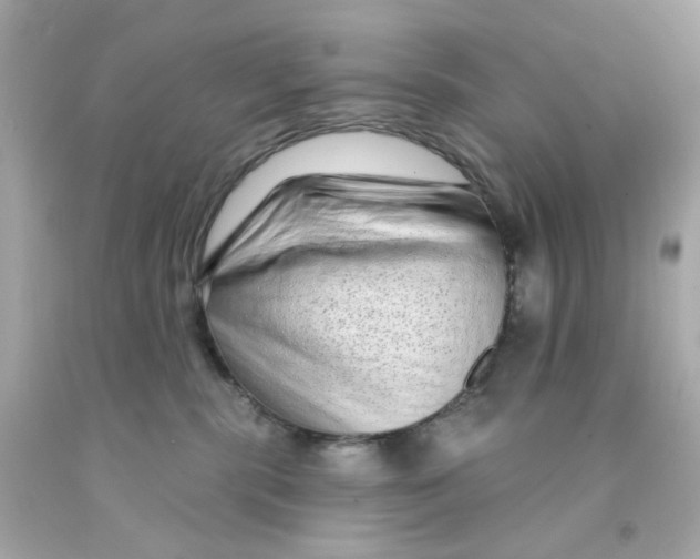 X0000093140283200710241348