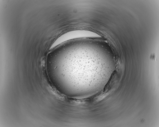 X0000093140284200710241348