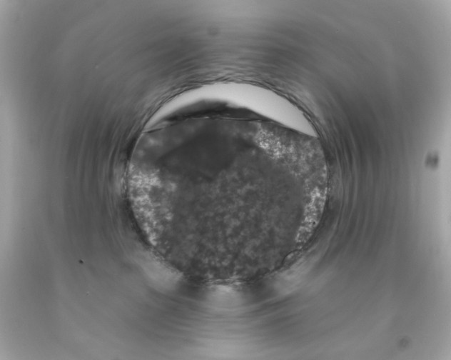 X0000093140285200710241348