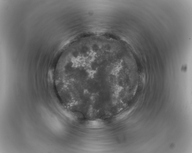 X0000093140286200710241348