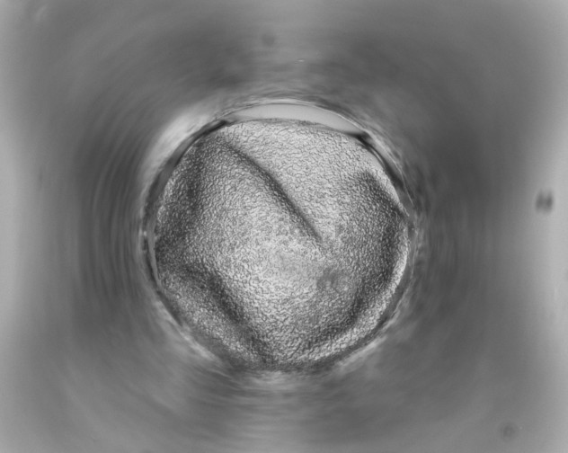 X0000093140293200710241348