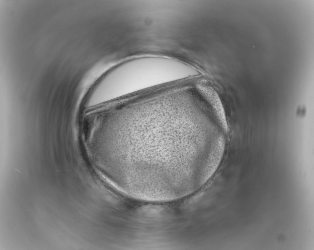 X0000093140294200710241348