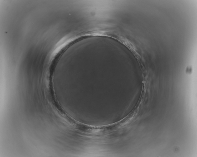 X0000093140295200710241348