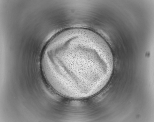 X0000093140298200710241348