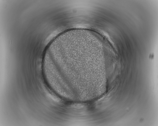 X0000093140299200710241348