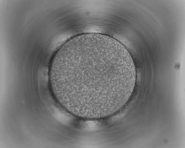 X0000093140302200710241348