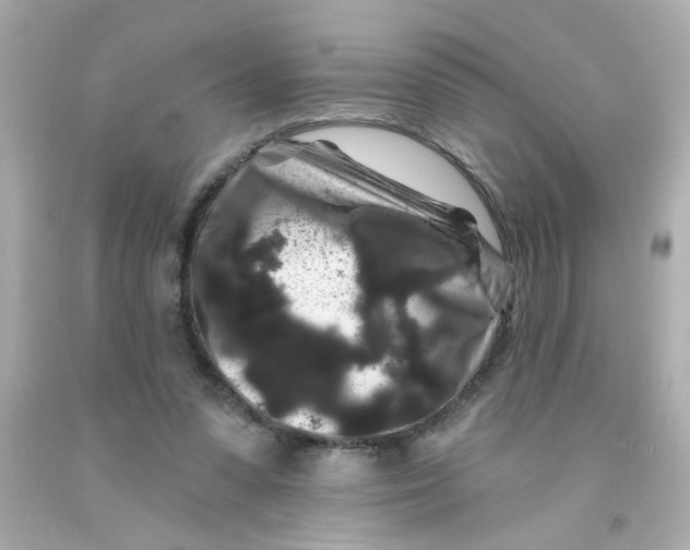 X0000093140303200710241348