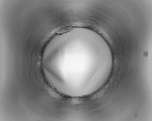 X0000093140305200710241348