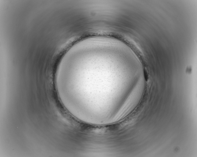 X0000093140306200710241348