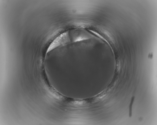 X0000093140314200710241347