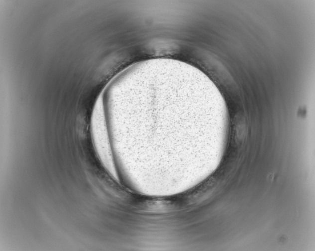 X0000093140316200710241347