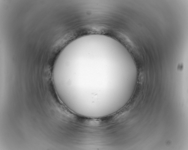 X0000093140318200710241347