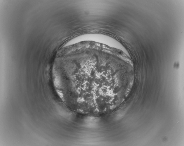 X0000093140319200710241347