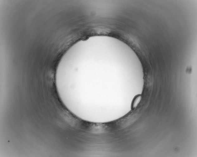 X0000093140321200710241347