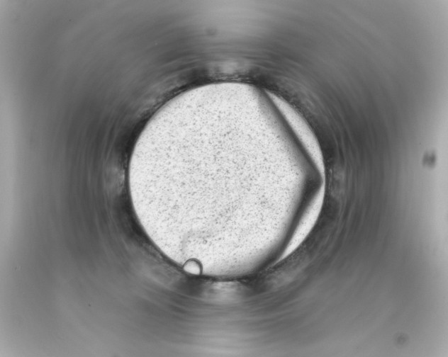 X0000093140324200710241347