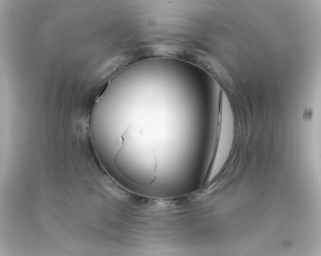 X0000093140329200710241347