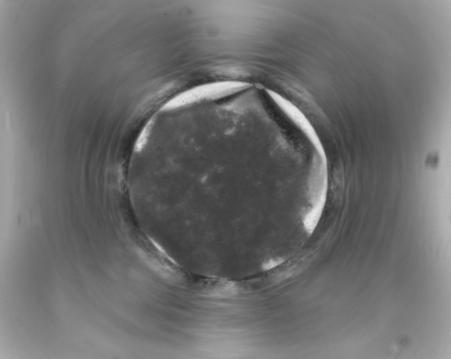 X0000093140330200710241347