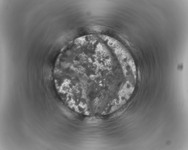 X0000093140331200710241347