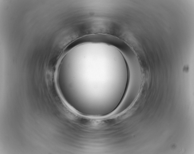 X0000093140333200710241347