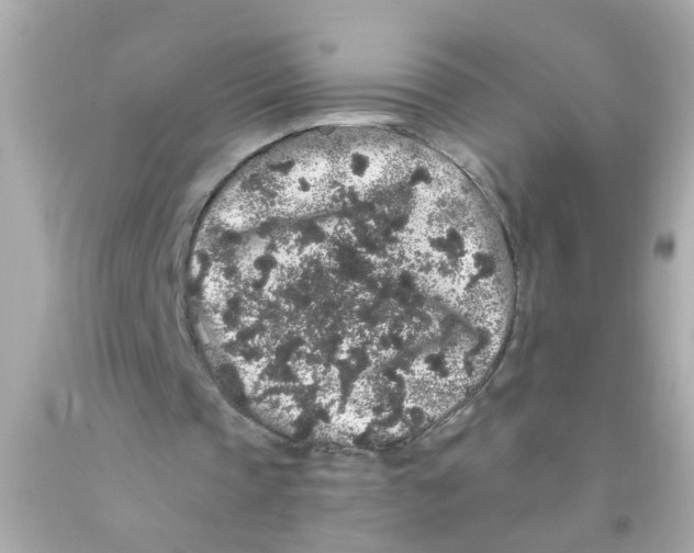 X0000093140337200710241347