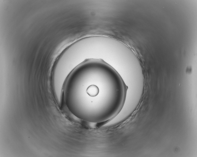 X0000093140340200710241347