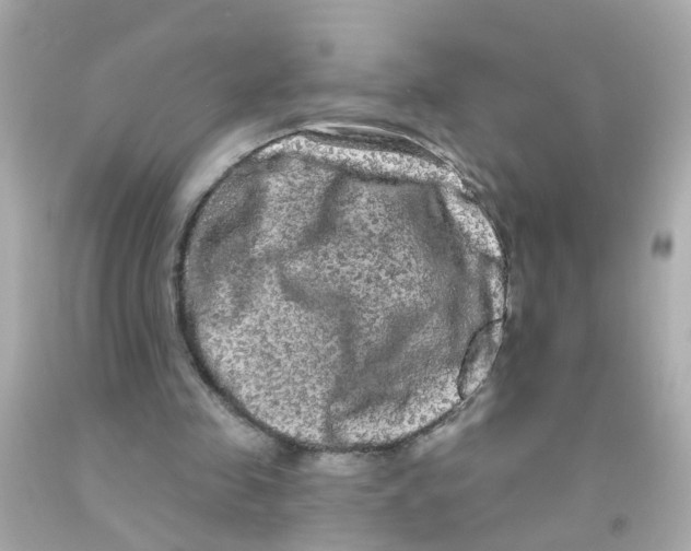 X0000093140341200710241347