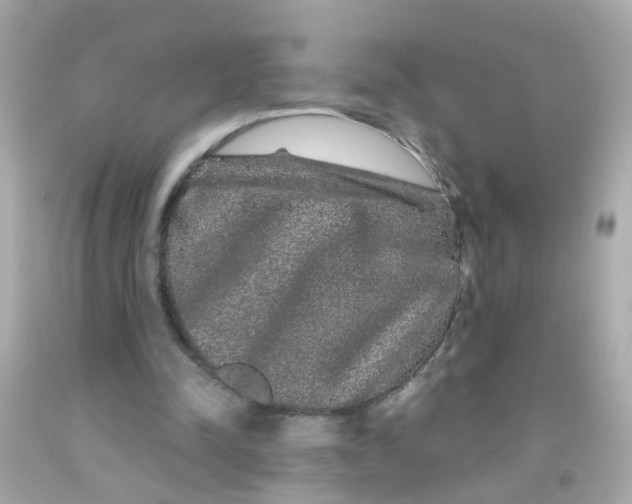 X0000093140342200710241347