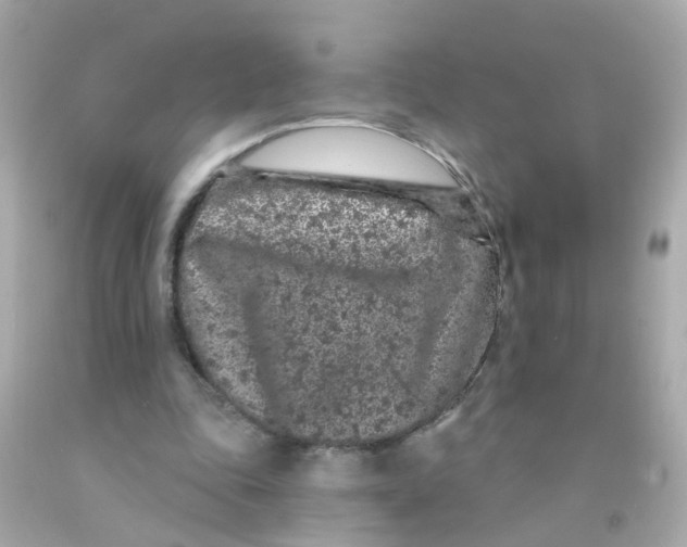 X0000093140343200710241347