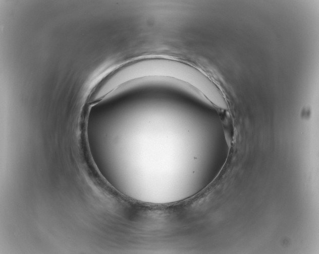 X0000093140344200710241347