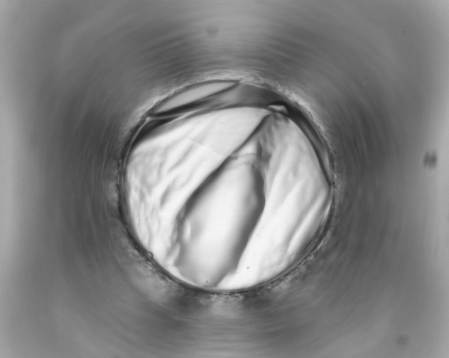 X0000093140345200710241347