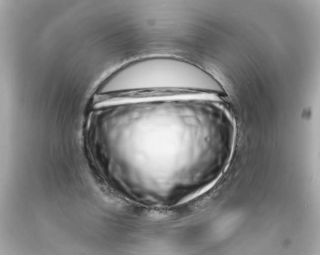 X0000093140346200710241347