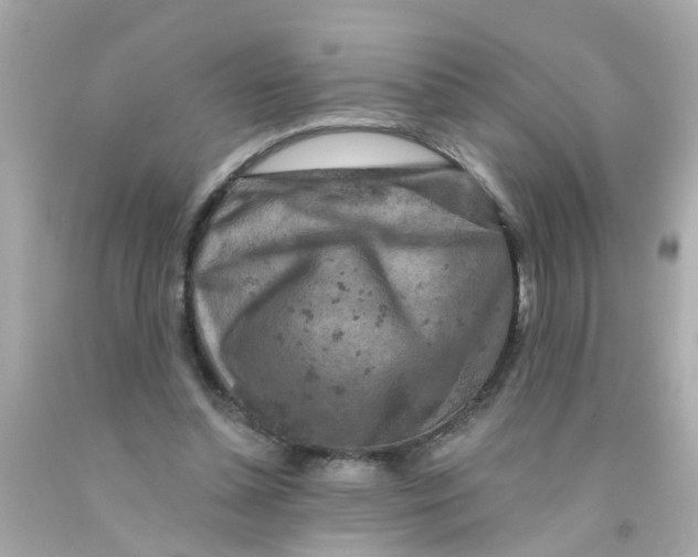 X0000093140348200710241347