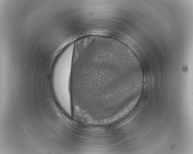 X0000093140349200710241347