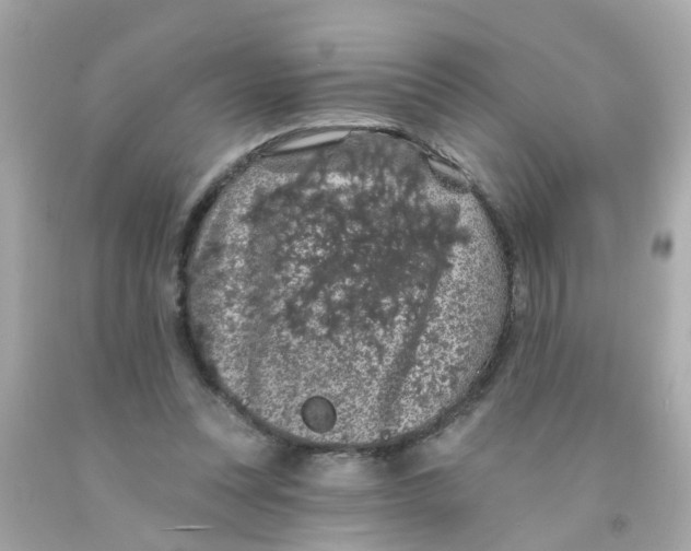 X0000093140351200710241347