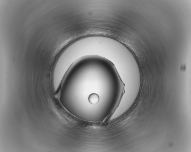 X0000093140352200710241347