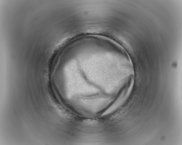 X0000093140354200710241347