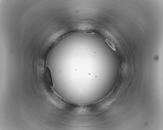 X0000093140356200710241347