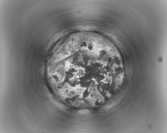 X0000093140357200710241347